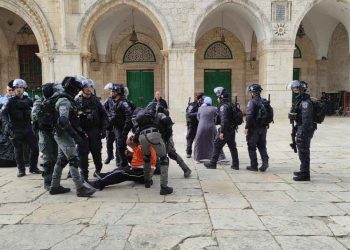 صورة من الارشيف