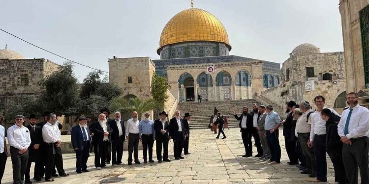 Israeli Court Allows Jewish Settlers to Defile Al-Aqsa