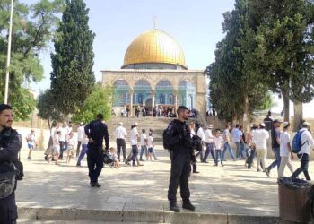 Settlers storm al-Aqsa, occupation forces arrest 4 Palestinians at mosque gates