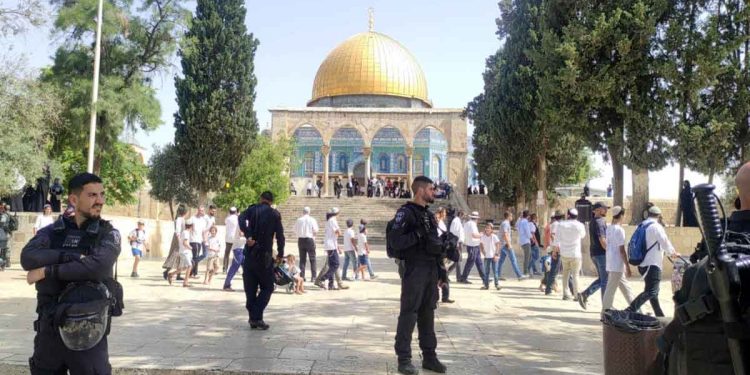 Settlers storm al-Aqsa, occupation forces arrest 4 Palestinians at mosque gates