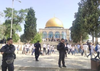 مستوطنون يقتحمون المسجد الأقصى.. والاحتلال يعتقل 4 فلسطينيين عند أحد أبوابه