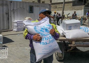 صورة من الارشيف