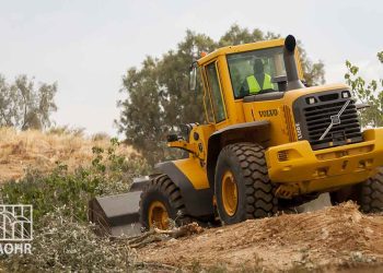 IOF Razes Araqib Village for 203rd Time