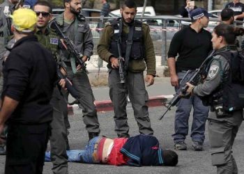 Israeli Occupation Escalates Field Executions Against Palestinians