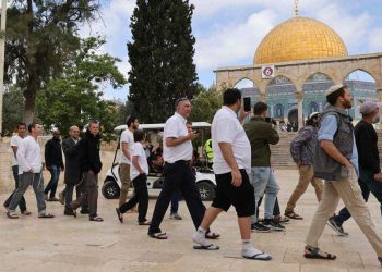 More than 500 settlers storm Al -Aqsa Mosque under protection of the IOF