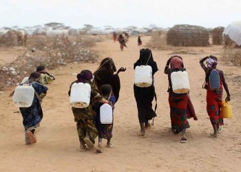 صورة من الارشيف