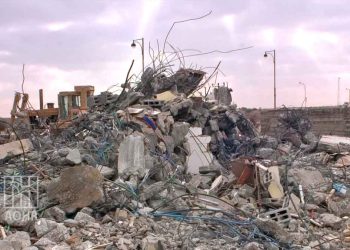 IOF Demolishes Araqib Village for 204th Time