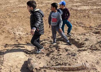 Syria Landmines Kill, Injure 15,000 People