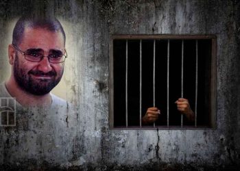 Egyptian activist Alaa Abdel Fattah