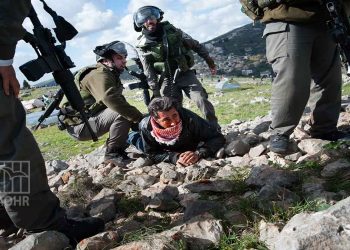 حملة اعتقالات لجيش الاحتلال في الضفة صورة ارشيفية