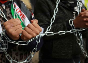 Palestinian prisoners dissolve organisational bodies, and 3 prisoners remain on hunger strike