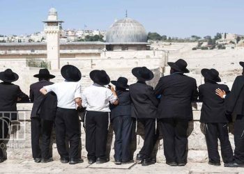 1700 Settlers Storm Al-Aqsa Mosque Under Protection of the Occupation Police