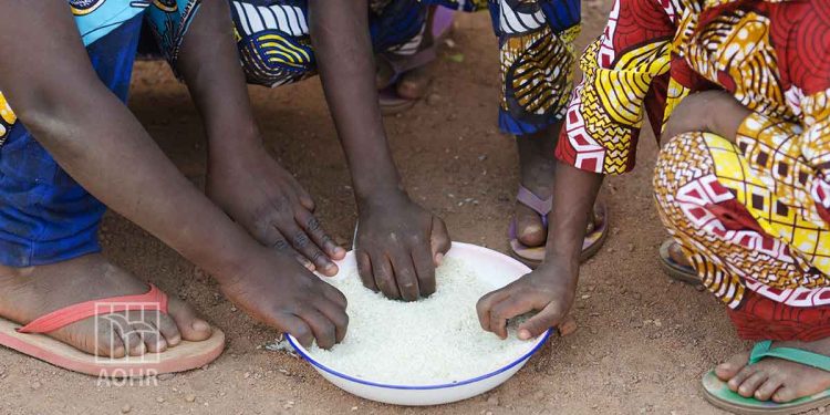 11.7 مليون شخص في السودان يواجهون جوعًا حادًا