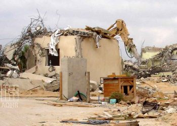 صورة من الارشيف