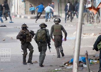 صورة من الارشيف