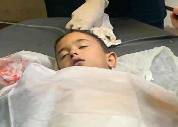 7-Year-Old Palestinian Child Dies in IOF Chase
