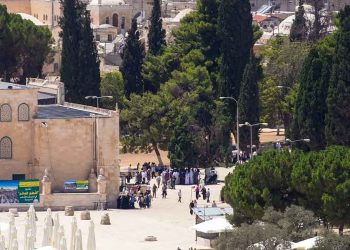 اقتحام واسع للأقصى.. والاحتلال يعتدي على المصلين ويعتقل 8 فلسطينيين