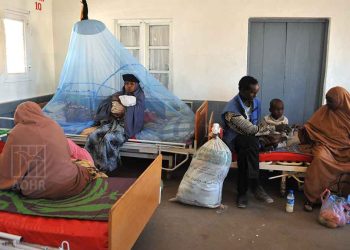 صورة من الارشيف