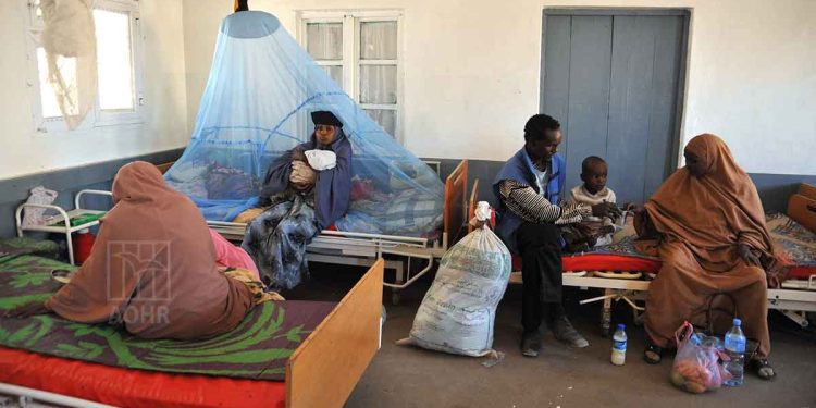 صورة من الارشيف