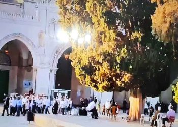 صورة من الارشيف