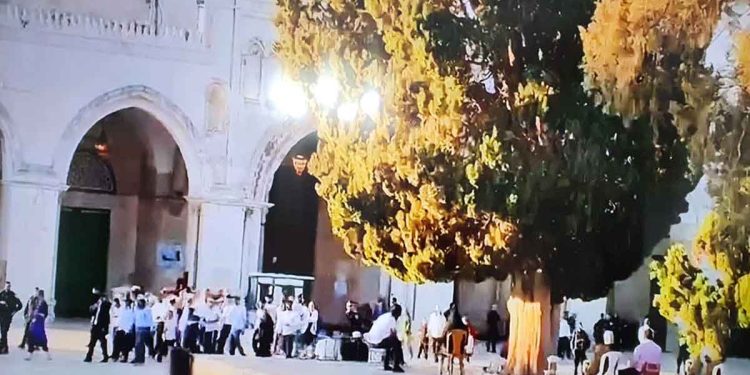 صورة من الارشيف