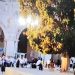 صورة من الارشيف
