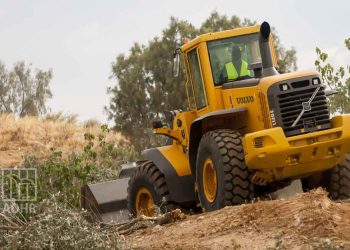 صورة من الارشيف