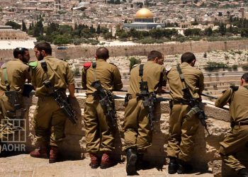 صورة من الارشيف