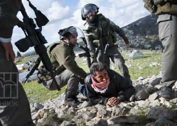 40 Palestinians Detained in Pre-dawn Raids