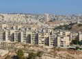 صورة من الارشيف