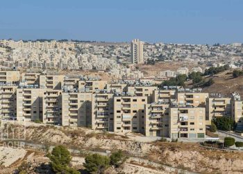 صورة من الارشيف