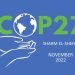COP27 Kicks off in Egypt amid Rights Concerns