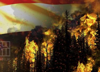 صورة من الارشيف