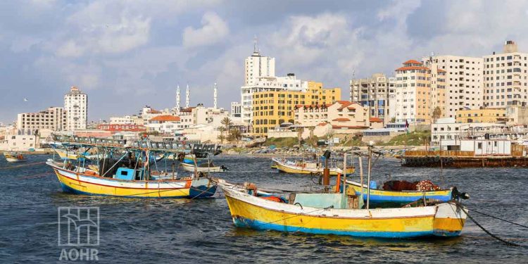 صورة من الارشيف