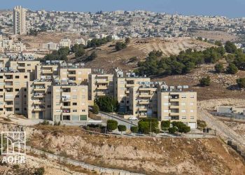 IOF Seizes 320 Dunums of Palestinian-Owned Land in Bethlehem