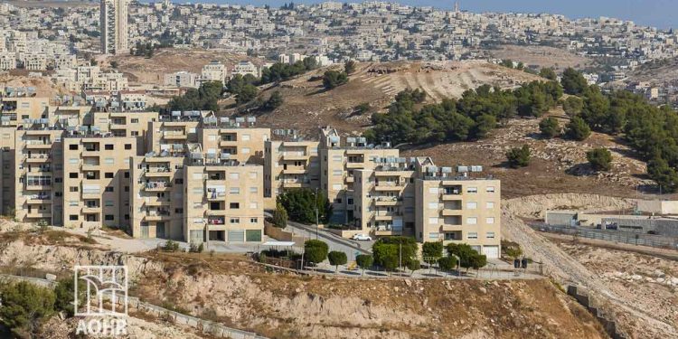 IOF Seizes 320 Dunums of Palestinian-Owned Land in Bethlehem