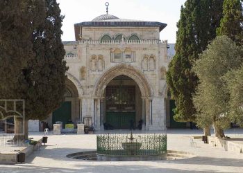 صورة من الارشيف