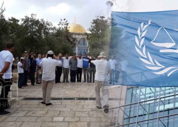 ICC Must Investigate Al-Aqsa Mosque Incursions