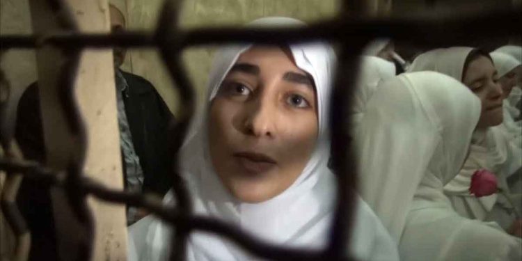 Egyptian detainee Aya Kamal el-Din