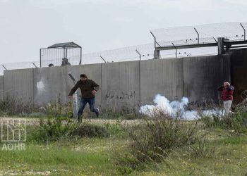 صورة من الارشيف