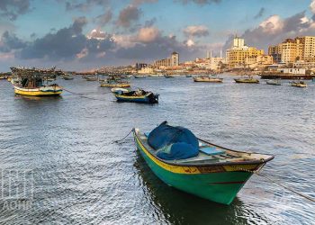 صورة من الارشيف