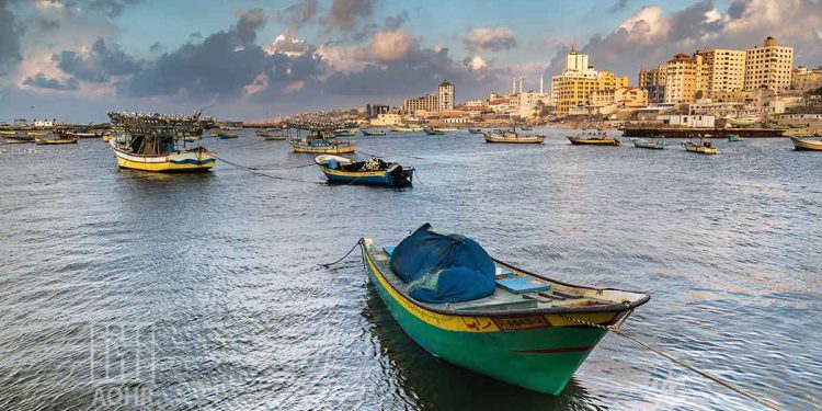 صورة من الارشيف