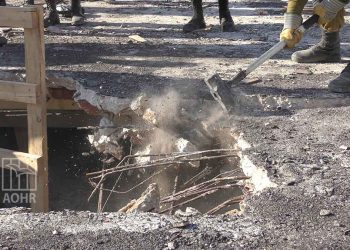 صورة من الارشيف