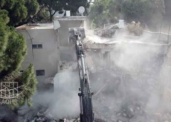 صورة من الارشيف