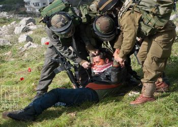 صورة من الارشيف