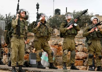 صورة من الارشيف