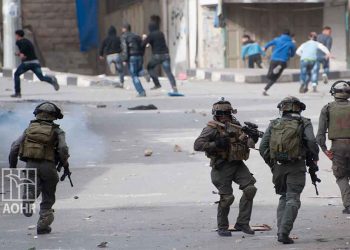 10 Palestinians Killed, 102 Injured by IOF Gunfire in Nablus