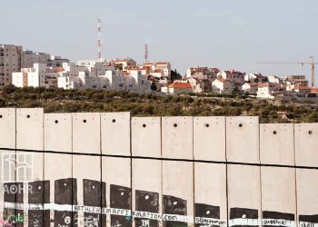 Israeli Occupation Turns into Colonialism Amid International Silences