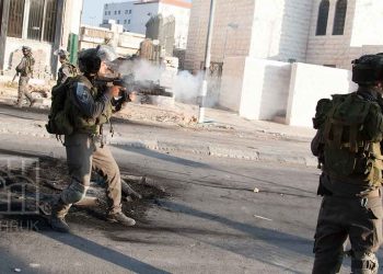 Israeli Occupation Gives Green Light to Settler Attacks