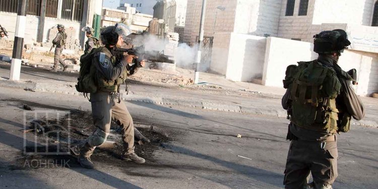 Israeli Occupation Gives Green Light to Settler Attacks